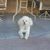 Dale Crites's profile image
