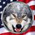 Ric Carper's profile image