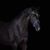 Joanna Jodko's profile image