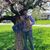 Courtney Pettit's profile image