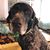 Gina Como Rhoades's profile image