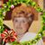 John Leipfert's profile image