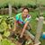 Ely Flores Hagmaier's profile image