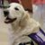 Cynthia Slagle Swift's profile image