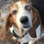 Lori Hoag's profile image