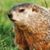 Lori Calhoun Mavity's profile image