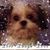 Judy Krause's profile image