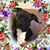 Bonnie Lynn Jackson's profile image
