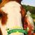 Teresa Kneier Caldwell's profile image