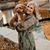 Carlee Stier's profile image