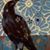 Elaine J. McMurchy's profile image