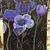 Marie Windle's profile image