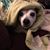 Roxanna Presley- Polewski's profile image