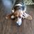 Dawn Berger's profile image