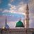 Rai Mohammad Aaliyan Haider's profile image
