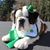 Tammy L Evans's profile image