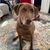 Jeanette Bogart's profile image