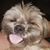 Mariana Reyes's profile image