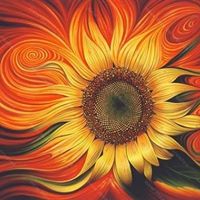 Shelley N Steve Black's profile image