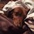 Kim Webb Parks's profile image