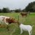 Eric Caudill's profile image