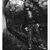 Ras Justo Luis's profile image