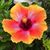 Patty Roberts Parker's profile image