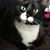 Vicki Berkowitz's profile image