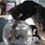 Dawn Wagner Hodges's profile image
