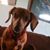 Sandra Volk's profile image