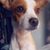 Rachela Maria Tijerina's profile image