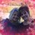 Bridget Simon-Salampessy's profile image