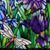 Barbara Mcmullan's profile image