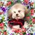 Katie Krueger's profile image