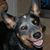 Julia Slater Frayer's profile image