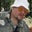 Wayne Allen's profile image
