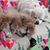 Gail Lampron Jordan's profile image