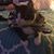 Samantha Teets's profile image