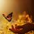 Barb Culberson's profile image