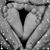 Robin Nemec's profile image