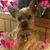 Ruth Watkins's profile image