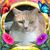 Diane Luttrell's profile image