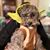 Kelcee Kay-Elizabeth Dooley's profile image