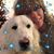 Lea Schandel Hall's profile image