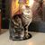 Lora Anderson Young's profile image