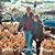 Janet McColgan's profile image