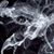 Tish Shackelford's profile image