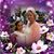 Luisa Machado's profile image