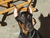 Annette B.'s profile image