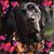 Julie Tomasky's profile image
